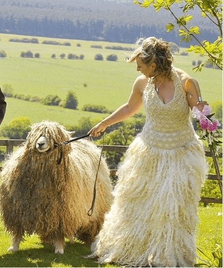 goat wedding dress min