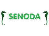 Senoda Garment Garment Factories