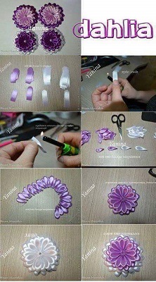 15781214 1851394375083917 876701901344108650 n