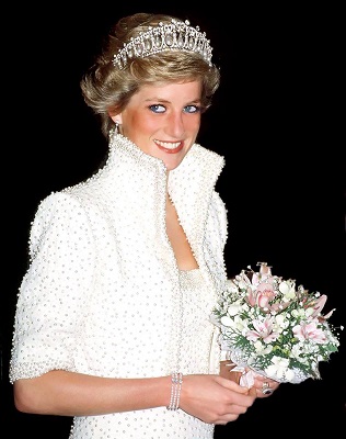 15826223 1438535236189147 1811533712523377029 n