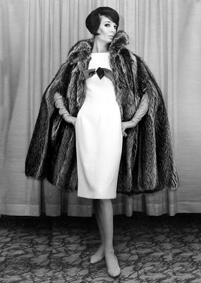 16507873 1472985996077404 9004403780981315740 n