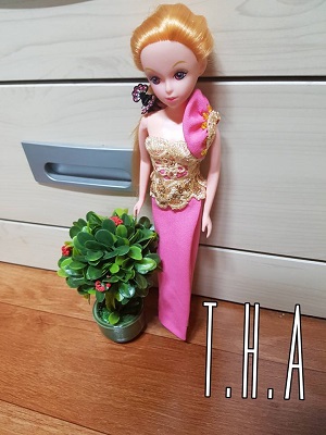 20953426 1933780843544148 8310653970985039779 n