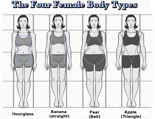 Female Body Types