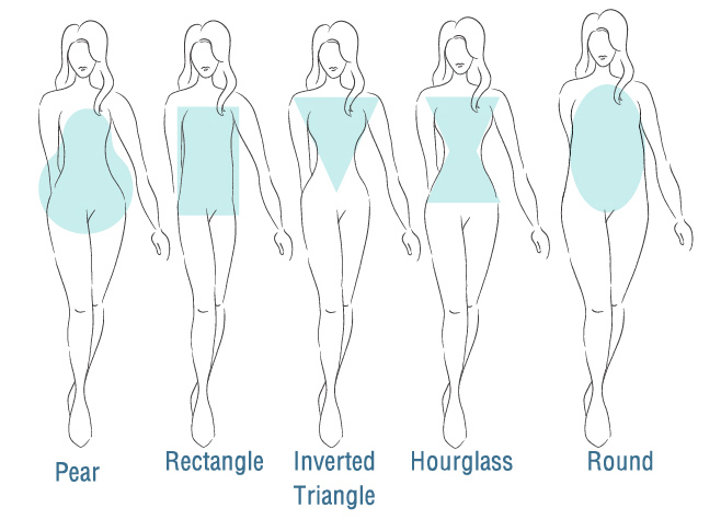 body shapes