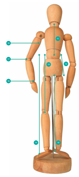 taking measurment 11 to 18