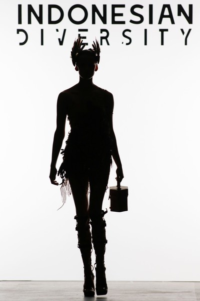01 indonesian diversity
