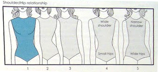 shoulder hip