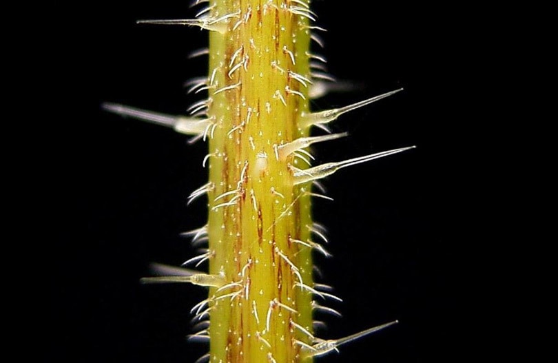 sustainable textile 3